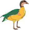 Yellow And Green Duck Clip Art
